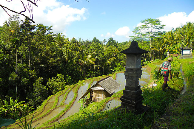 ubud bali