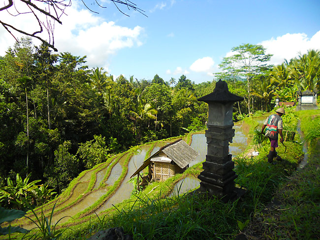 ubud