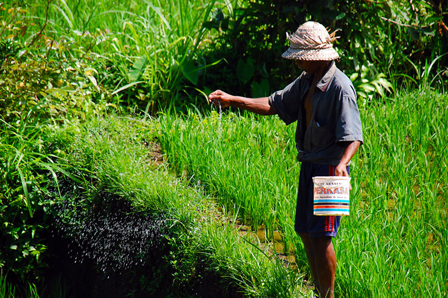 indonesia