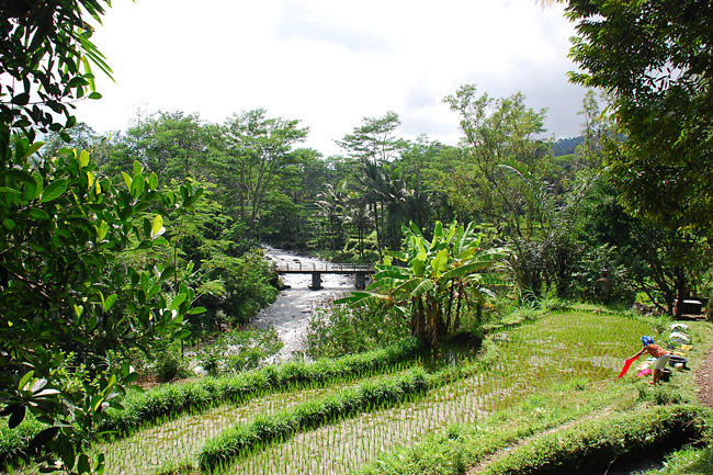 ubud