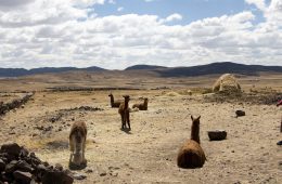 viajar a Perú por libre, piedras de ica, líneas de Nazca