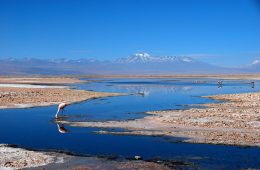 chile, desierto de Atacama