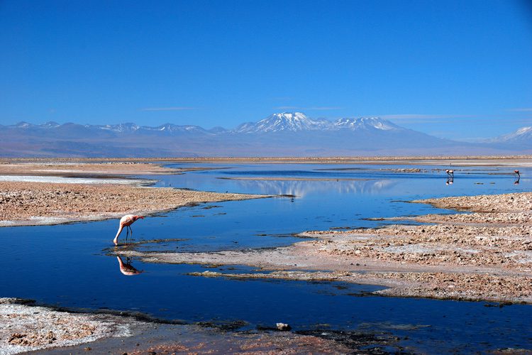 chile, desierto de Atacama